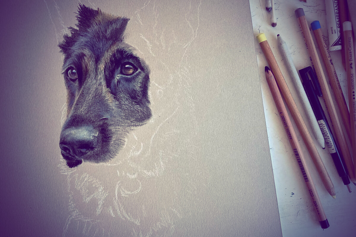 Pintabichos - Regalo con emoción